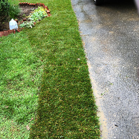 Better Care Landscaping Corp