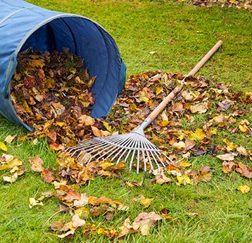Yard Cleaning & Leave Removal